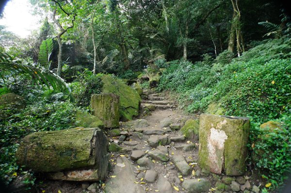 桃園 大溪 新溪洲山、溪洲山、林嵩壽山、內湳溝山、頭寮山3006198