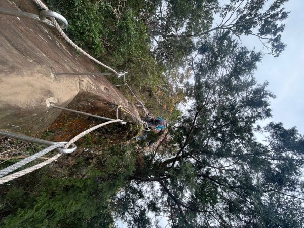 25/01/31三峽五寮尖2703464