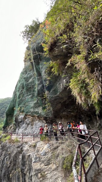 秀林天祥合流綠水文山步道2140206