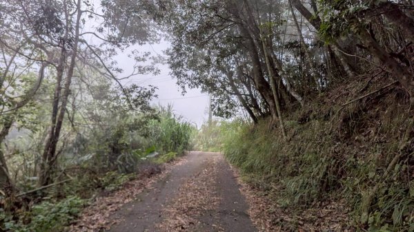 集集大山步道2886290