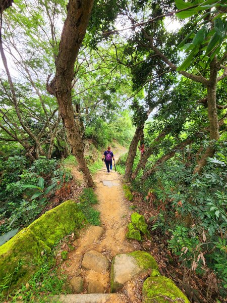 小百岳集起來-南觀音山2180696