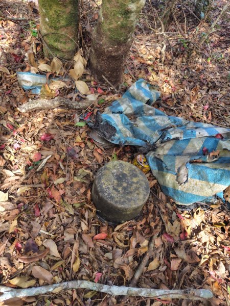 守關山南峰 守關山 守城大山2919173