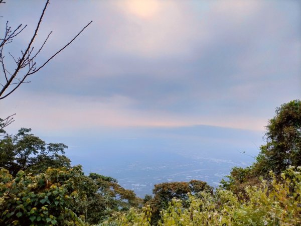 阿拔泉山/觀音石山/紅楠坑山/獨立山 環狀2963283