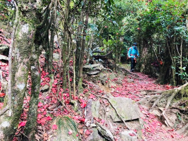 1091220稍來山主峰.南峰1214812