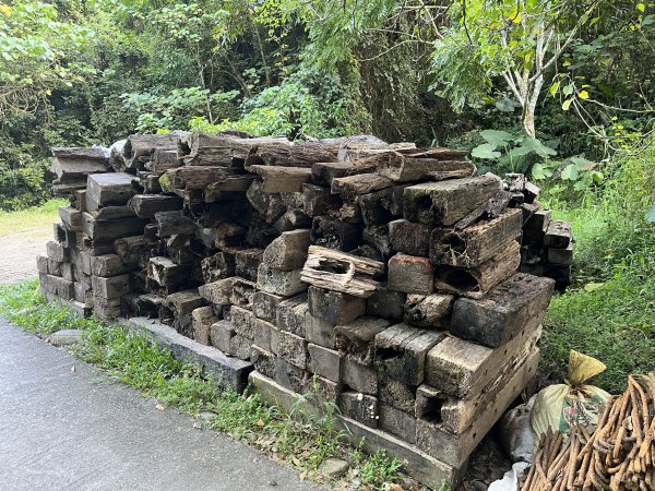 [百山百鳥尋旅-04/15] 2025_0817 龍過脈森林步道2863239