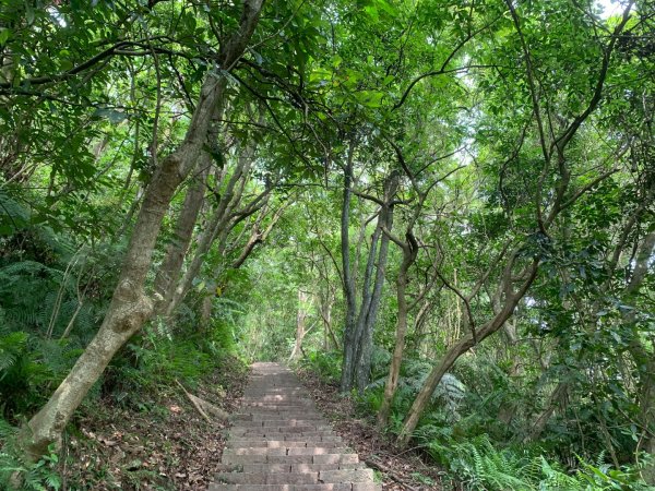 大崙頭尾山親山步道2767179