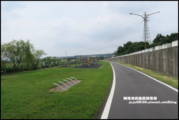 大溪左岸自行車道｜中新里韭菜花海超浪漫｜1101568