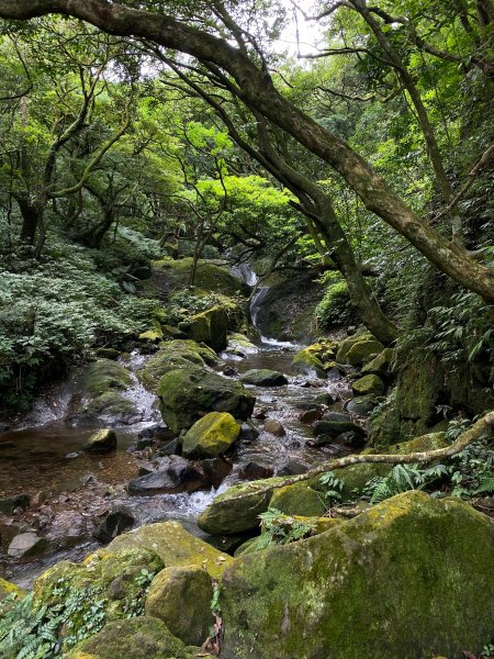 小觀音山大Ｏ1002732