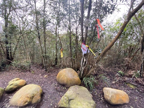 苗栗三義-三員縱走2616459