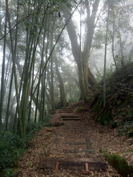 嘉義頂湖六連峰1859229