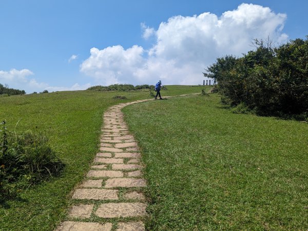 頂山石梯嶺步道2282545