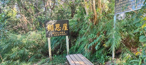 飛鳳山3120017
