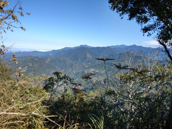 馬那邦山(小百岳#37)登山步道。點點楓紅 2020/12/131425330