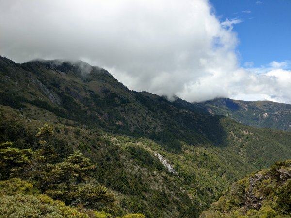 高雄/花蓮/台東-嘉明湖-向陽山-三叉山3053724