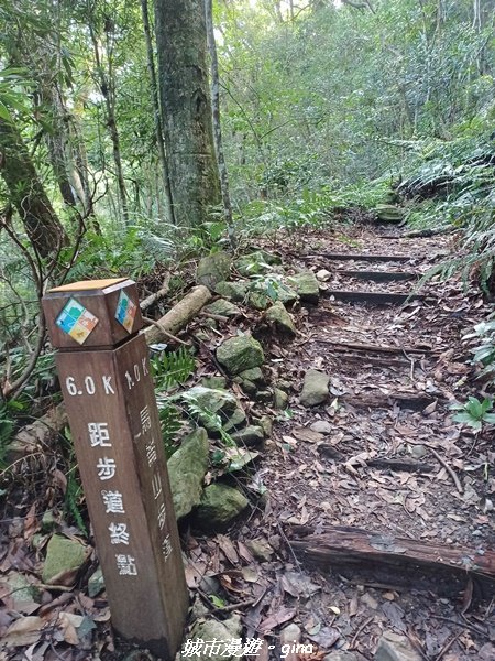 【台中和平】清風徐來蟬鳴聲。 谷關七雄~馬崙山步道2324410