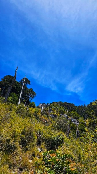112.04.16 玉山前峰2123705