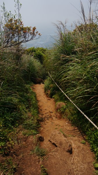 陽明山西段縱走 O形1916384