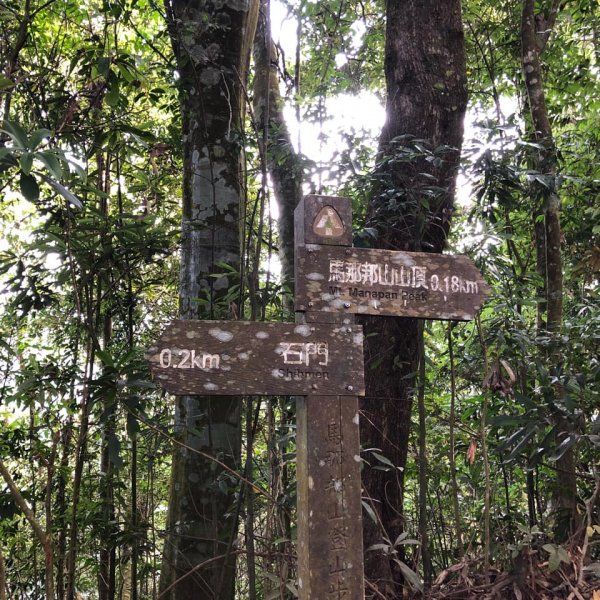 馬那邦山登山步道 NO 37 / 苗栗縣大湖鄉--我的第13座小百岳1598264