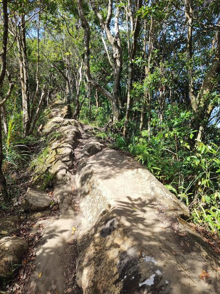 微笑山線：【二格山系】筆架連峰段2920959
