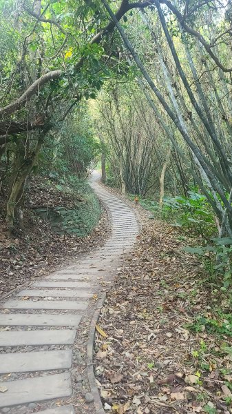 2026-0118新竹新埔文山步道2984641