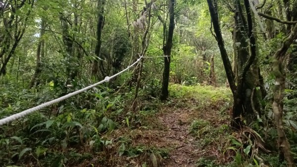 雙溪區豎旗山北稜線-豎旗山-豎旗山南峰-烏山尖-鄒家古厝-保成坑口站O型3071252