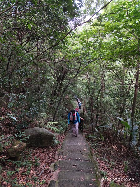 大湖公園→大溝溪生態治水園區→圓覺寺步道→圓覺瀑布→圓覺寺→鯉魚山步道【臺北大縱走 4、臺北健走趣】2849115