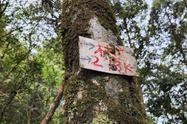【中級山縱走】最美中級山，鳶嘴西稜縱走（鳶嘴山，醜崠山，長壽山）2741391