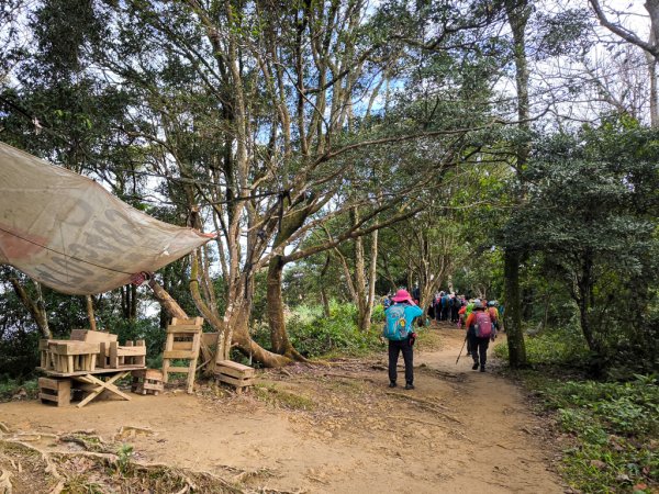 2026-01-25 龍潭小粗坑古道上石門山2994128