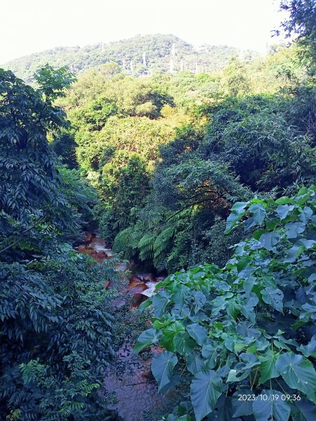 半嶺步道、松溪瀑布、橫嶺古道、湖山綠地【發現陽明山、走路趣尋寶、健康大穀東】2321354