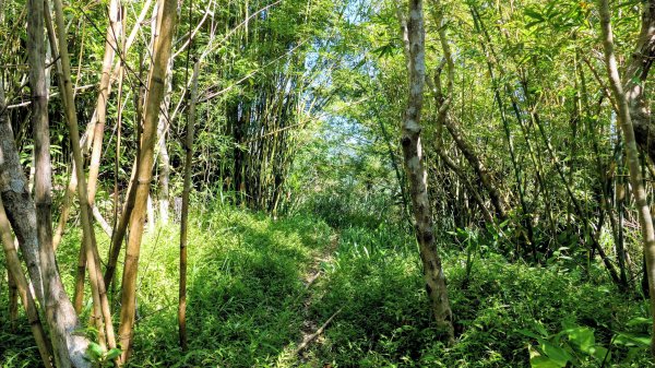 梅竹蹊山,麻竹坑山,苕谷瀑布,蝙蝠山2883301