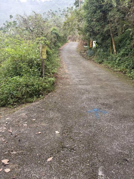 20251019伍龍步道-梅峰-竹子尖山-福光山2924096