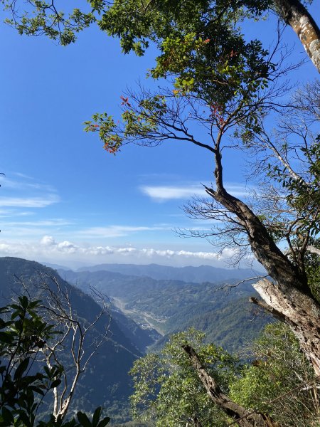 1111120泰安鄉鳥嘴山2672959