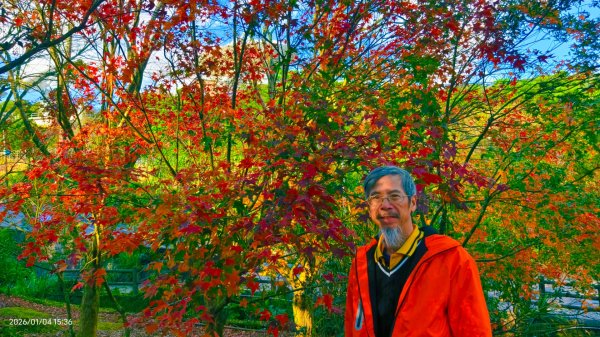 #花卉試驗中心 #永公路500巷 #平菁街42巷 #原住民公園 #士林官邸 1/42976622