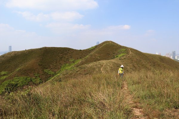 HK - 鐵坑，蛇嶺1268076