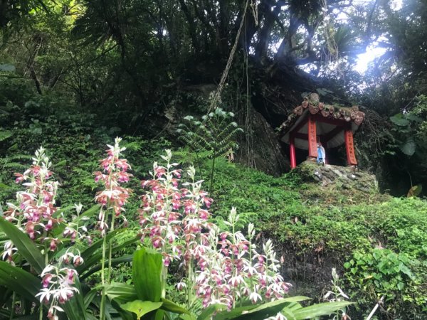 抹茶山、三角崙山、聖母山莊2115189