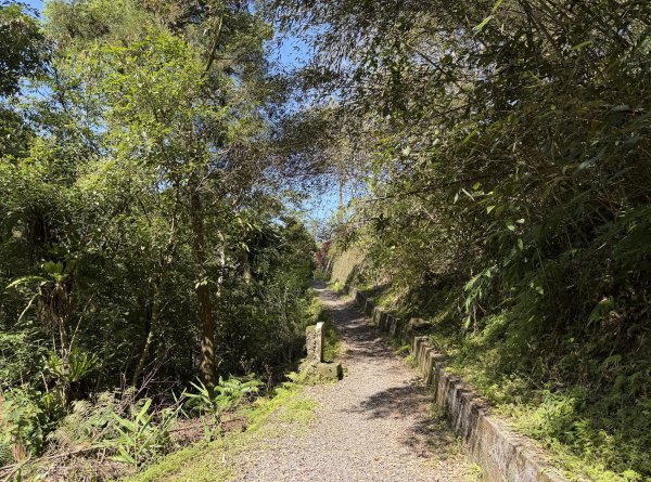 [淡蘭古道] 2026_0315 南路第三段_四分子古道3016924