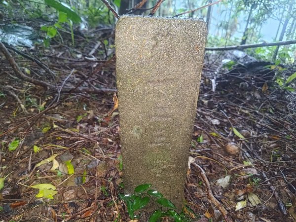 華山4-2號步道上雲嘉連峰2579396