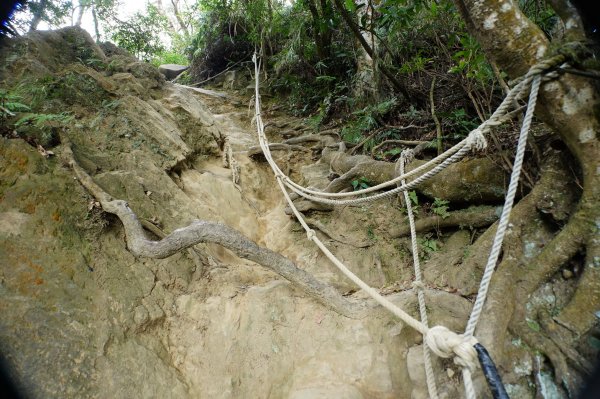 苗栗 獅潭 仙山、大窩山2984284