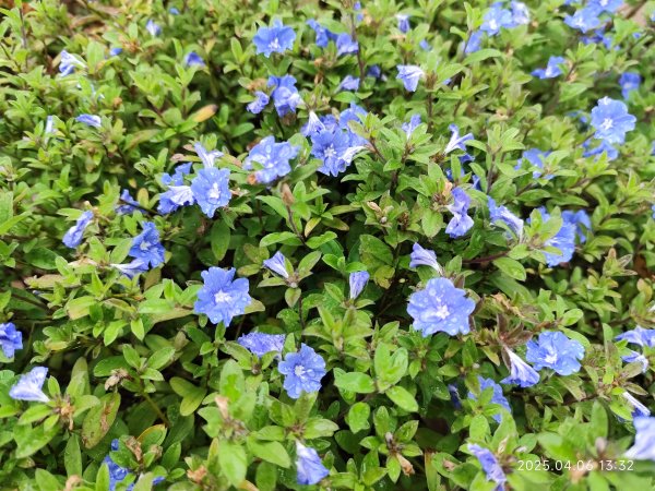 台北漢來大飯店、宏匯瑞光廣場、大港墘公園2754561