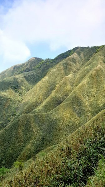 聖母登山步道926831