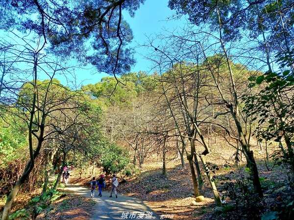 【彰化。 田中】郊山賞景休憩。 麒麟山森林步道x歐咖啡