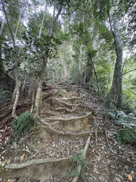 20251221嘉南雲峰、石壁山登山步道2968092