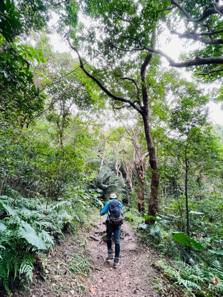 1150124帽子山。25落山風藝術季。2987157