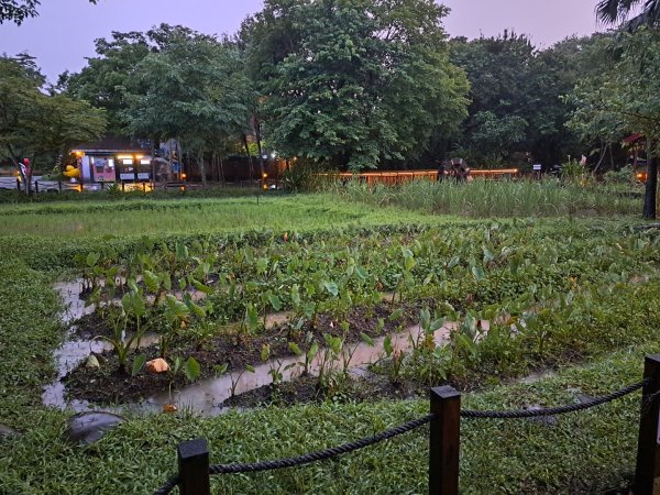 2026動物園祖父母節活動（夜間限定版）3111336