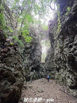 【高雄田寮】小百岳大崗山x大崗山磐龍峽谷步道3013147