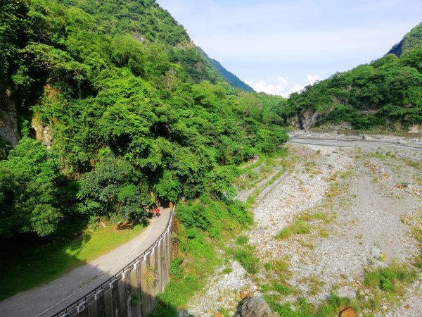 花蓮秀林~峻秀峽谷山水石壁畫~砂卡礑步道1039780