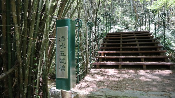 澀水森林步道登山健行趣(步道)2259834