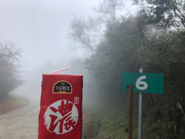觀霧 檜山巨木步道 雲霧步道501069