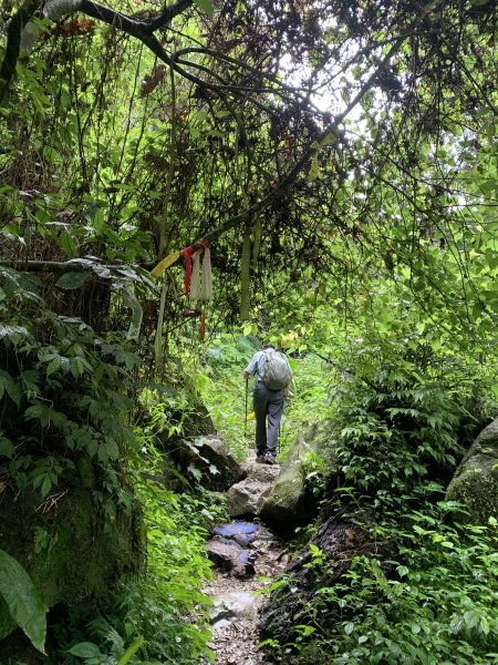 20250614南投南鳳凰山2813246