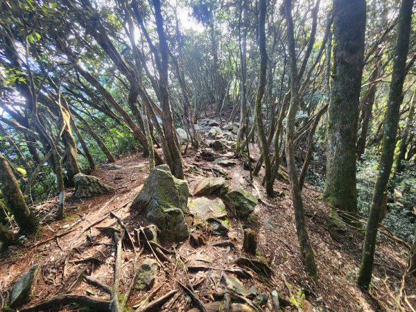 20250831鳶嘴稍來2928612